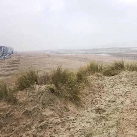 Near With Terrace Koksijde